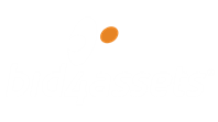 Bid4Assets Logo